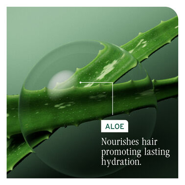 HydraSource Daily Leave-In Tonic 400mL