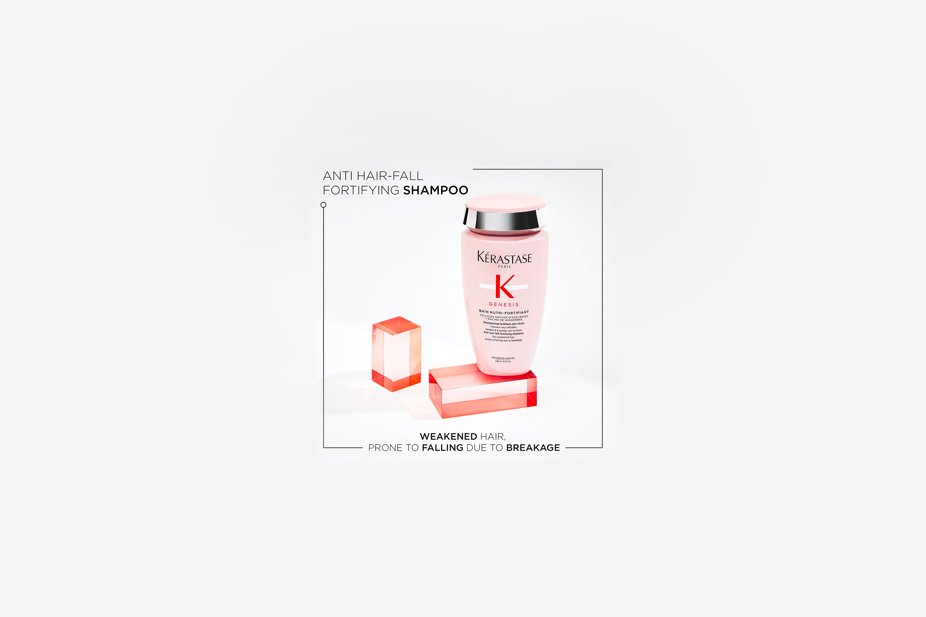 Genesis Bain Nutri-Fortifiant 250mL