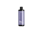 Color Obsessed So Silver Mask 500mL